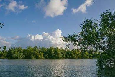 法国比赛回顾：巴黎圣日耳曼主场大胜，法甲巴黎圣日耳曼视频回放